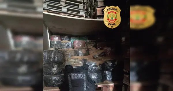 Caminhão apreendido em Goiás com drogas escondidas entre paletes de madeira